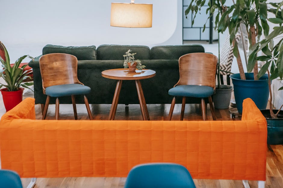 Comfortable sofa with wooden chairs near round table in stylish apartment with green potted plants